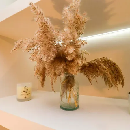 Dom wakacyjny Moorland Retreat